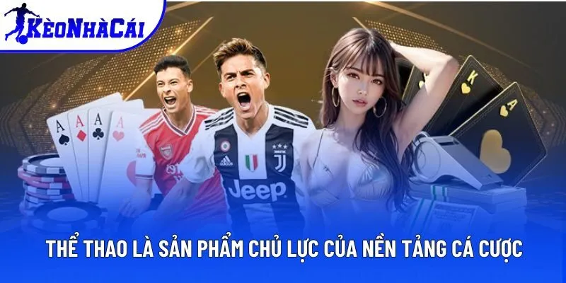 Thể thao là sản phẩm chủ lực của nền tảng cá cược Thể thao là sản phẩm chủ lực của nền tảng cá cược