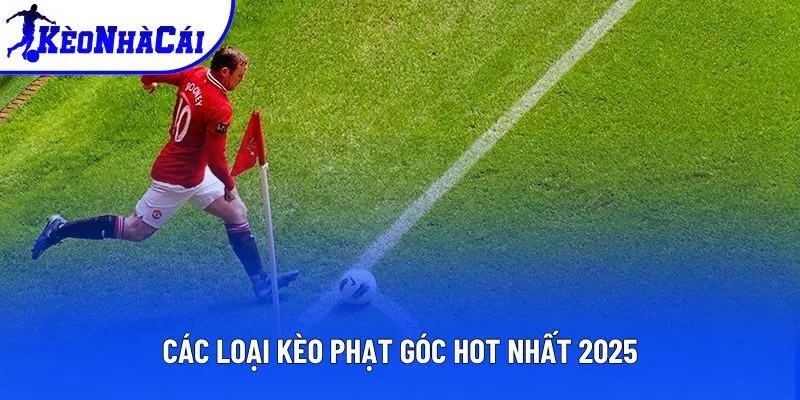 Top các tỷ lệ corner bet thịnh hành nhất hiện nay Top các tỷ lệ corner bet thịnh hành nhất hiện nay