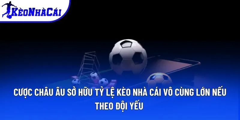 Cược châu Âu sở hữu tỷ lệ kèo nhà cái vô cùng lớn nếu theo đội yếu Cược châu Âu sở hữu tỷ lệ kèo nhà cái vô cùng lớn nếu theo đội yếu